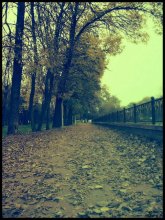 beautiful disorder * / ***