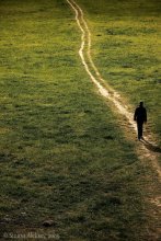 Der Weg an die Spitze. / ***