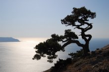 Crimea. New World. View from Mount Falcon / --------------;)--------------