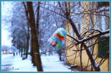 Mitten / ***