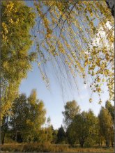 mood-autumn / ... :)