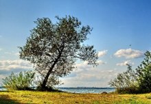 Wind in August / *******