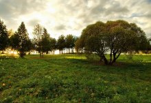 Autumn / ***