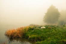 On the shore waters tummannyh / ......