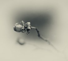 Autumn Graphics / ...........................