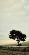 Loneliness. / ***