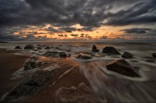 Rock Garden / ***