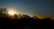 Morning / ***