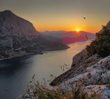 Shot at dawn. / ***********