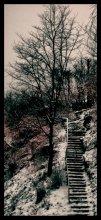 stairs to nowhere / ***