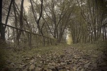 autumnal mood in the style of a pinhole / ..............