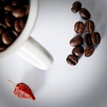 pepper / ***