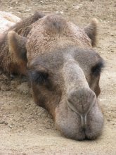 do not wake up! / -----