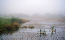 Fog, mist ... / ***