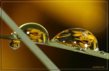 water - that's life / ***