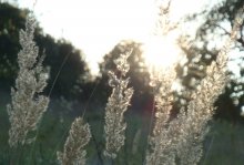 Quiet Sun / ***