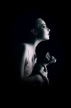 Cats / ***