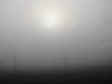 Foggy morning / ***