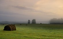 In early autumn / ***