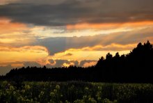 Strahlen der untergehenden Sonne / .....