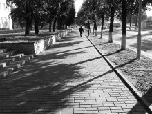 Along / ******