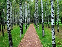 Moscow Autumn / ***