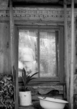 Reflection / ***