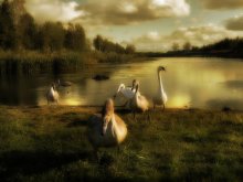 Say goodbye and fly away / -----------