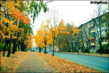Autumn / ***