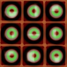 circles squares / ***