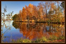 Autumn colors / ***