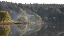Natur / ***