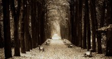 Winter is close / ***