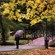 Autumn Park / ......