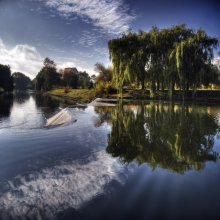 Water table / ***