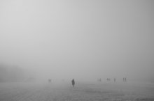 Foggy / ***