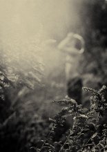 grass in the autumn / ***