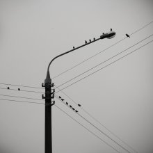 Wating / *****
