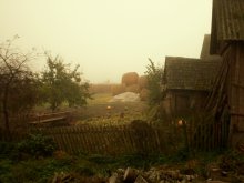 mist for a hedgehog / *****