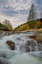 Carpathians / ***