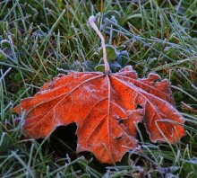 Breath of winter ... / *****