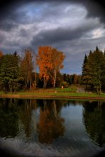 A piece of autumn / ***
