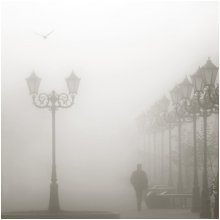 Foggy morning / *****