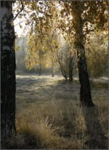 &nbsp; / http://velosipedd.blogspot.com/2009/10/20_21.html