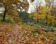 Autumn / ***