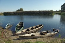 Punt / ***