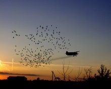 I fly to you / ***