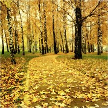 [ autumn sketches *2 ] / ***