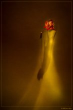 Autumn mystery. Ghost. / ***