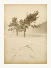 Winter Landscape / ***